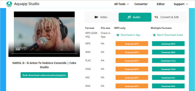 Aqua YouTube to WAV Online Converter